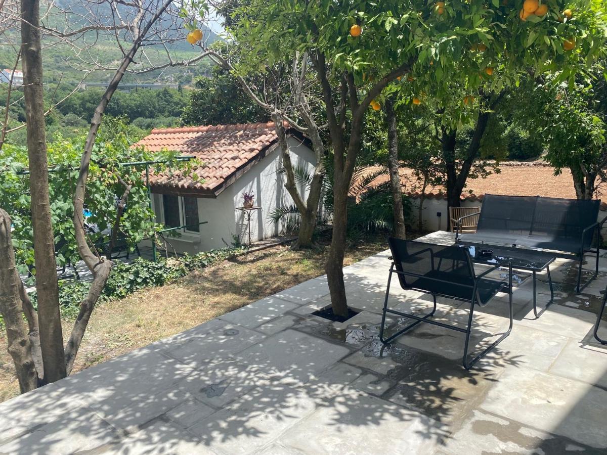 Villa Terra -Fontana *